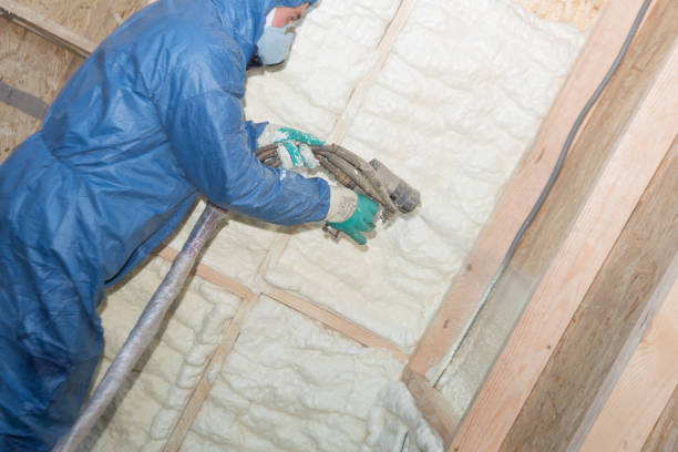 Best Crawl Space Insulation  in Harkers Island, NC